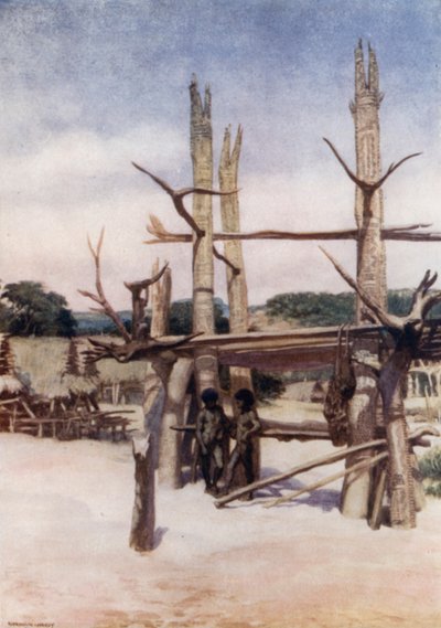 The Dubu at Rigo, Brittiläinen Uusi-Guinea (väri litho) tekijältä Norman Hardy