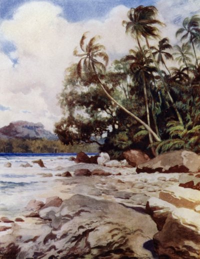 Riutta lähellä Simboa, Salomonsaaret (väri litho) tekijältä Norman Hardy