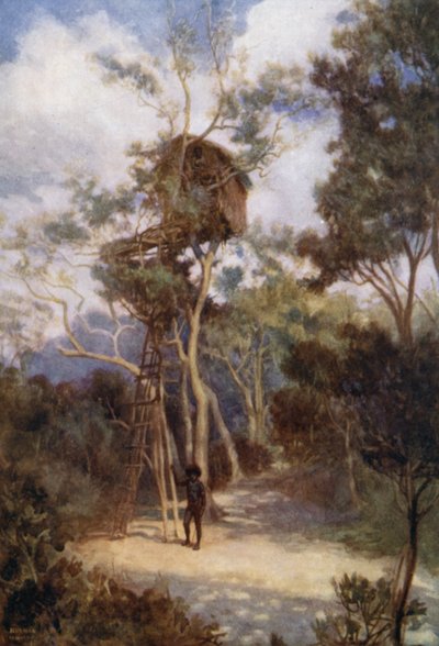 Tree House Brittiläisessä Uudessa-Guineassa (väri litho) tekijältä Norman Hardy