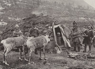 Lapin perhe tekijältä Norwegian Photographer