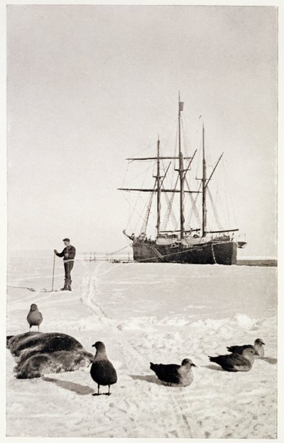 "Fram" Whalesinlahdella, elokuvasta "Etelänapa": Kertomus norjalaisesta Etelämanner-retkikunnasta 