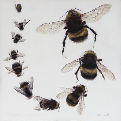 Bombus, 2015 (akryyli gessoidulle puulle) tekijältä Odile Kidd