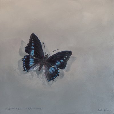 Charaxes imperialis 1 (a), 2014 (akryyli puulle) tekijältä Odile Kidd