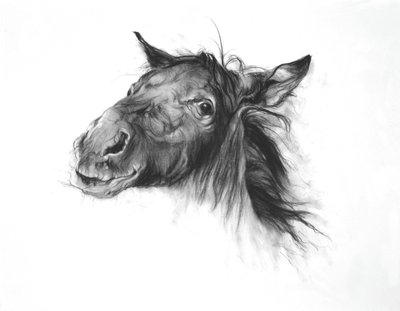 Colt, 2002 (hiili Fabrianon paperille) tekijältä Odile Kidd