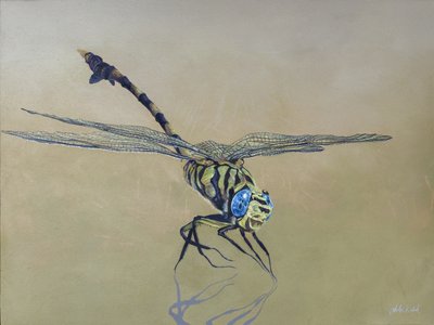 Lohikäärmekärpänen, 2009 (akryyli puulle) tekijältä Odile Kidd