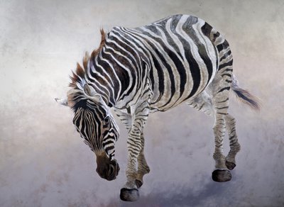 Equus burchelli 2, 2010 (akryyli kankaalle) tekijältä Odile Kidd