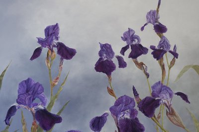 Iris hybrida (detalji), 2015 (akryyli gessoiduille puupinnoille) tekijältä Odile Kidd