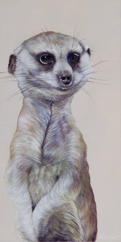 Meerkat 1, 2009 (akryyli puulle) tekijältä Odile Kidd