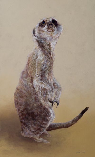 Meerkat 2, 2010 (akryyli puulle) tekijältä Odile Kidd