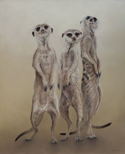 Meerkat, 2014 (akryyli gessoidulle puulle) tekijältä Odile Kidd