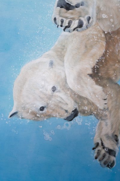 Jääkarhubaletti, yksityiskohta, 2012 (akryyli lasikuitumunalle) tekijältä Odile Kidd