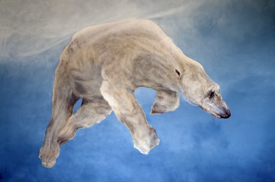 Ursus maritimus 2 (akryyli gessoed pellavalle) tekijältä Odile Kidd