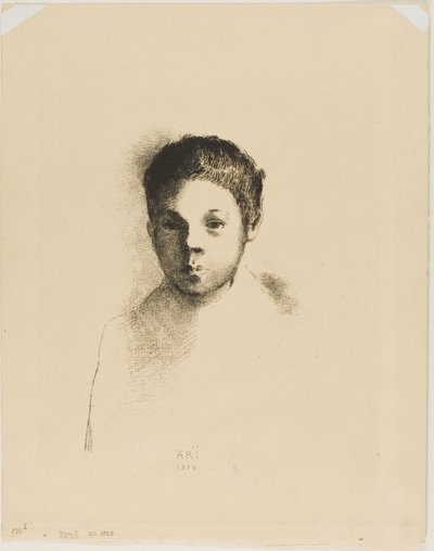 Myös tekijältä Odilon Redon
