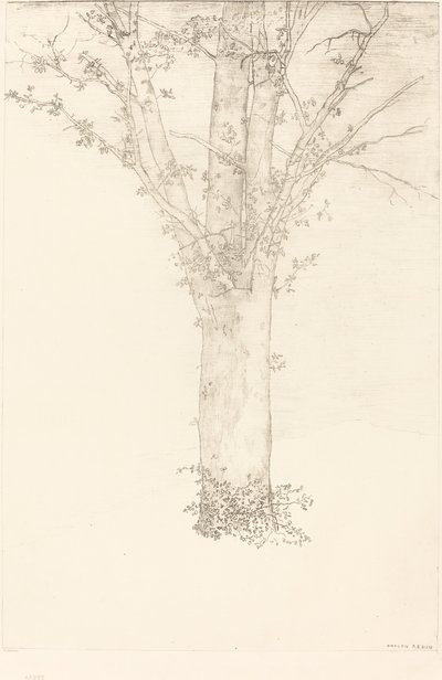 Puu tekijältä Odilon Redon