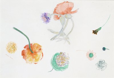  tekijältä Odilon Redon