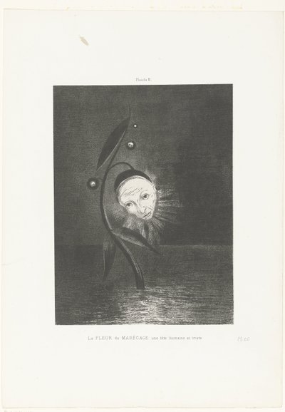 Suon kukka, ihminen ja surullinen pää La FLEUR du MARÉCAGE une tête humaine et triste (otsikko esineessä) tekijältä Odilon Redon