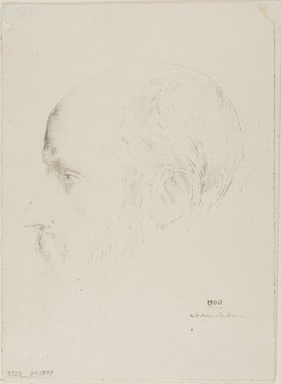 Edouard Vuillard tekijältä Odilon Redon