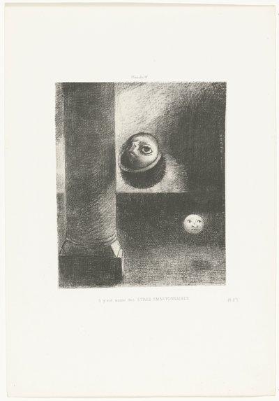 Er waren ook embryo wezens Siellä oli myös alkioolentoja (otsikko esineessä) tekijältä Odilon Redon