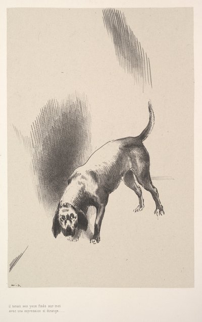 Hän kiinnitti katseensa minuun ilmeellä, joka oli niin outo, 1896. tekijältä Odilon Redon