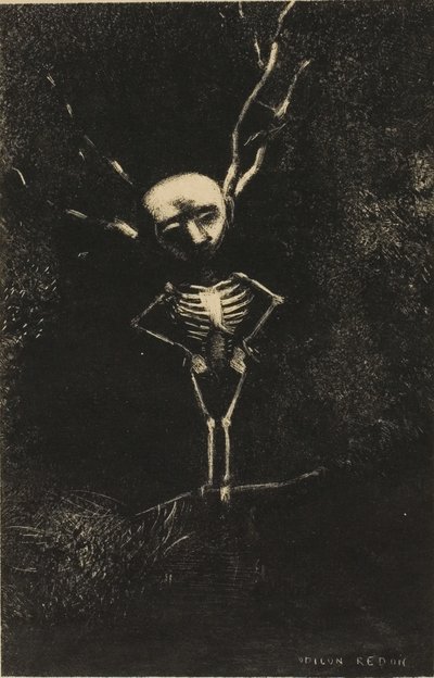 Oksojen sokkelossa kalpea hahmo ilmestyi, levy 2/7 tekijältä Odilon Redon