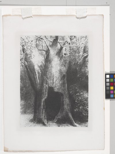 I Sunk Into Solitude (litografia kiinaapplikointipaperille) tekijältä Odilon Redon