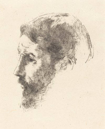 Pierre Bonnard tekijältä Odilon Redon