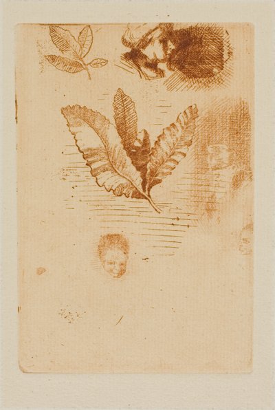 Luonnokset tekijältä Odilon Redon