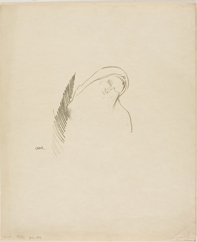 Nukkua tekijältä Odilon Redon
