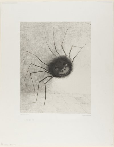 Hämähäkki tekijältä Odilon Redon
