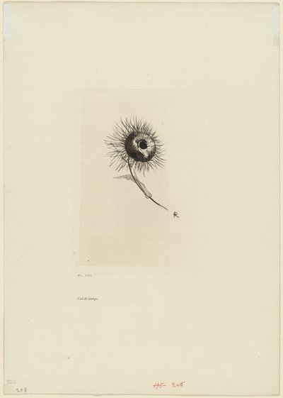 Takakappale, levy 9/9 tekijältä Odilon Redon