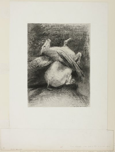 Impotentti siipi ei nostanut eläintä mustaan tilaan, levy 7/8 Les Originesista tekijältä Odilon Redon