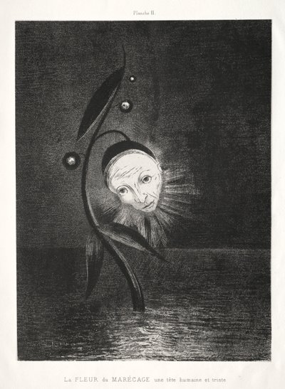 Suokukka, surullinen ihmispää tekijältä Odilon Redon