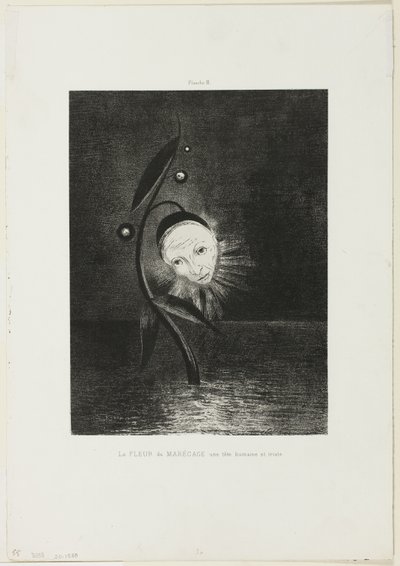 Suokukka, surullinen ihmispää, levy 2/6 tekijältä Odilon Redon