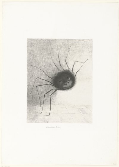 Hämähäkki, 1887 (painettu) tekijältä Odilon Redon