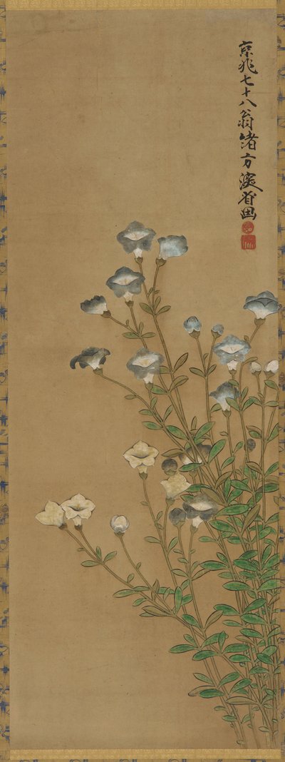 Siniset ja valkoiset kukat hoikkavarsissa, Edo-kausi, 1700-1800-luku tekijältä Ogata Kenzan