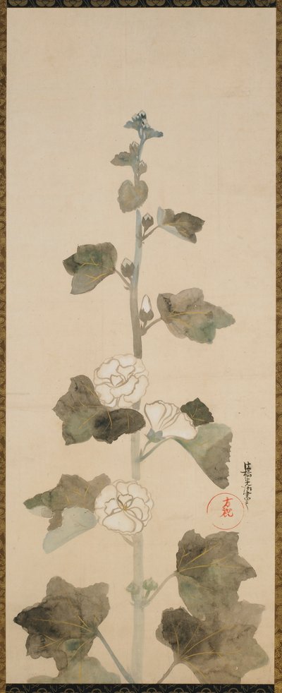 Valkoiset hollyhocks, Edo-kausi, 1600-luvun loppu - 1700-luvun alku. tekijältä Ogata Korin