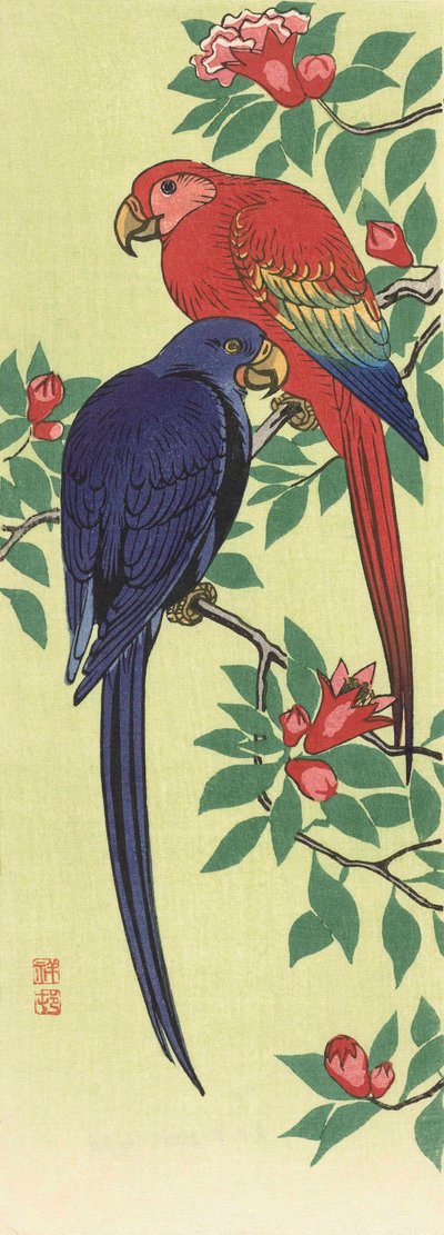 Punainen ja sininen papukaija, japanilainen taiteilija Ohara Koson tekijältä Ohara Koson