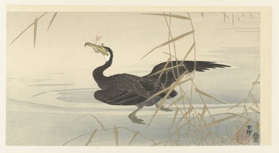 Merimetso kalan kanssa tekijältä Ohara Koson