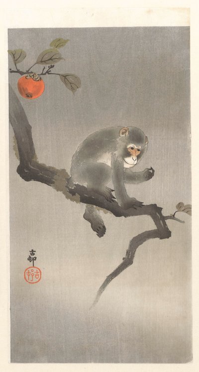 sinä kakiboomissa tekijältä Ohara Koson