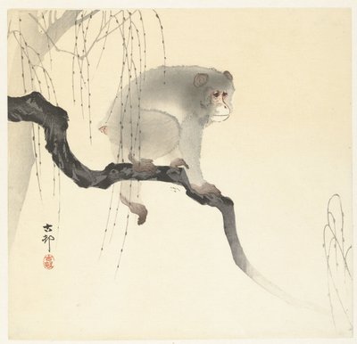 Apina puun oksalla tekijältä Ohara Koson