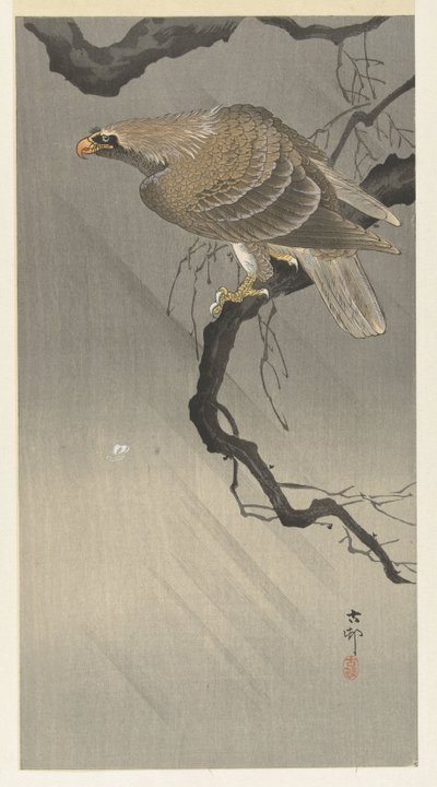 kotka oksalla tekijältä Ohara Koson