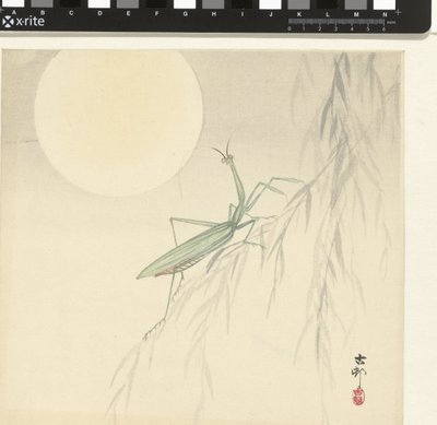 Rukoilijasirkka tekijältä Ohara Koson