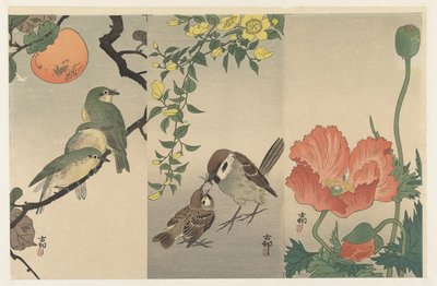 Linnut ja kasvit tekijältä Ohara Koson
