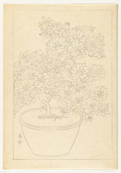 Kukkiva atsalea ruukussa tekijältä Ohara Koson