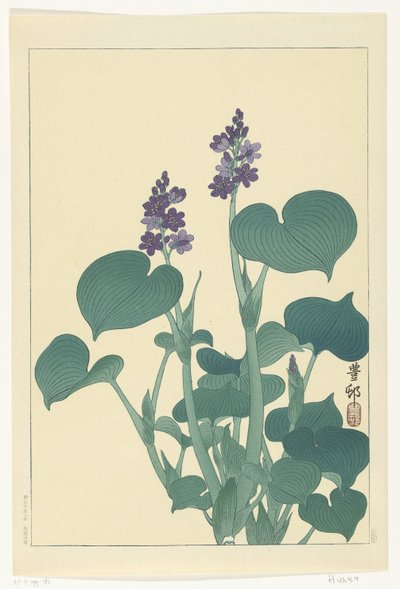 Kukkiva hosta tekijältä Ohara Koson