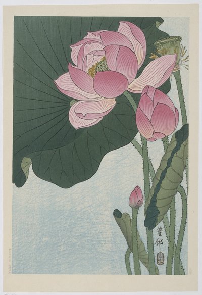 Kukkivat lootuksen kukat tekijältä Ohara Koson