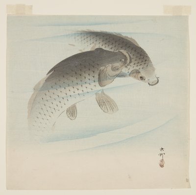 Karppi (Koi) (värillinen puupainatus) tekijältä Ohara Koson