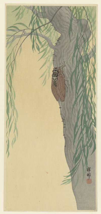 Cicada puussa tekijältä Ohara Koson