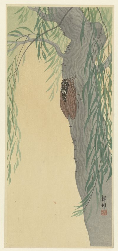 Cicada puussa tekijältä Ohara Koson