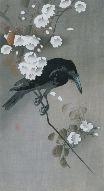 Varis kirsikankukan oksassa tekijältä Ohara Koson